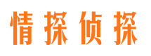 宁陕侦探公司